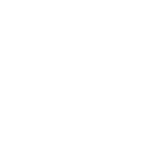 EFFVIT